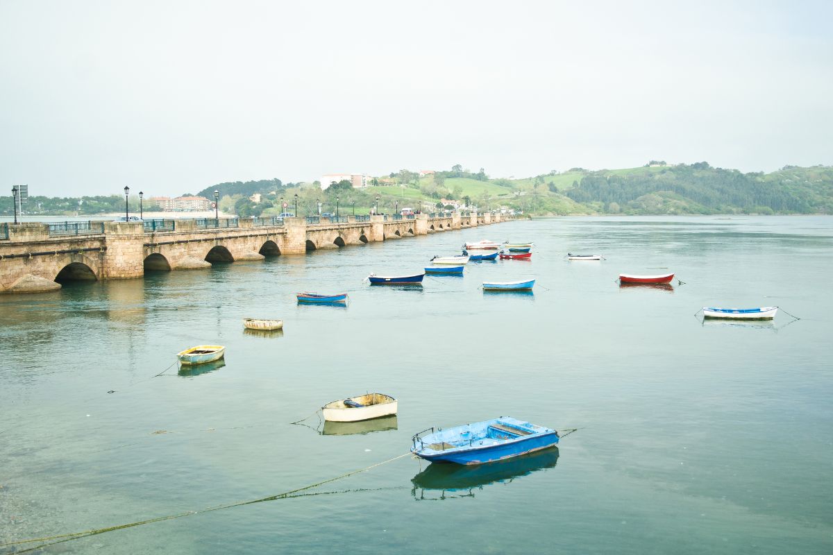 Lee más sobre el artículo Ostrería en Cantabria