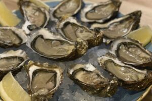 Lee más sobre el artículo Vivero de ostras en Cantabria